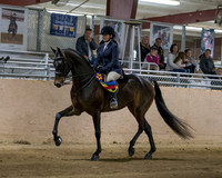 CalSpring18_SatPM_0909