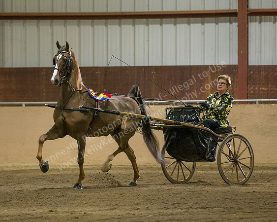 CalSpring18_SatPM_0943