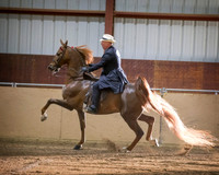 CalSpring18_SatPM_1001