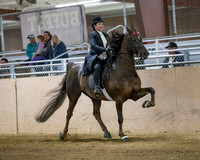 CalSpring18_SatPM_1174