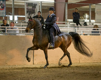 CalSpring18_SatPM_1370