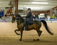 CalSpring18_SatPM_1399