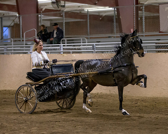 CalSpring18_SatPM_1486