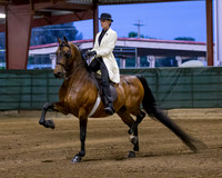 Class 82 Morgan Park Saddle Championship