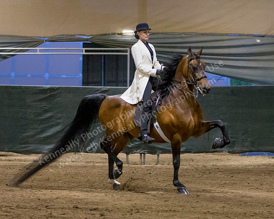 CalSpring18_SatPM_1552