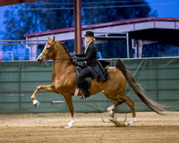 CalSpring18_SatPM_1584