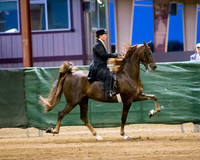 CalSpring18_SatPM_1675
