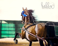 CalSpring18_FriPM_8482