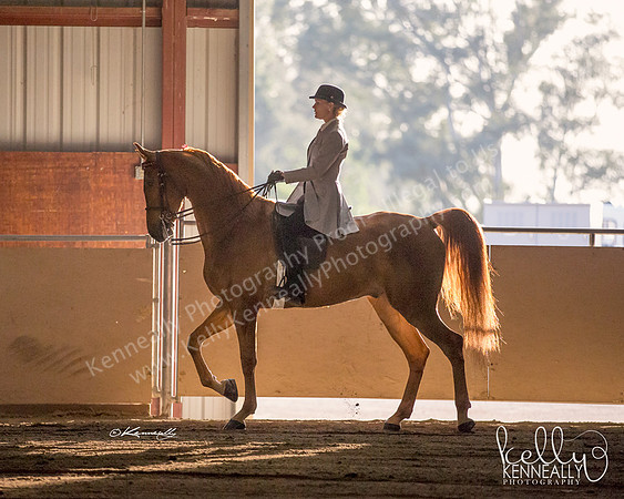 CalSpring18_Thurs_7117