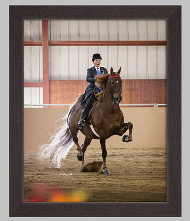 Pewter Wood Frame No Mat