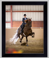 Black Wood Frame No Mat