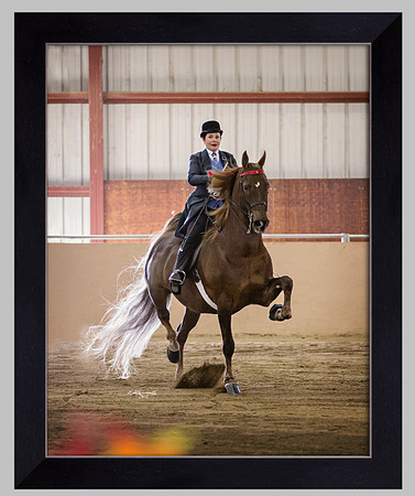 Black Wood Frame No Mat