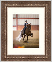 Silver Ornate Frame with Mat