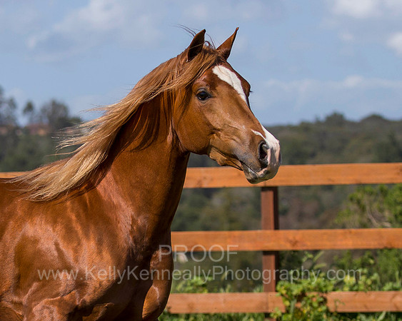 Reverberation0418_4400
