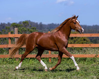 Reverberation0418_4410