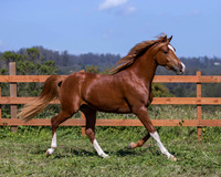 Reverberation0418_4411