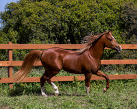 Reverberation0418_4498
