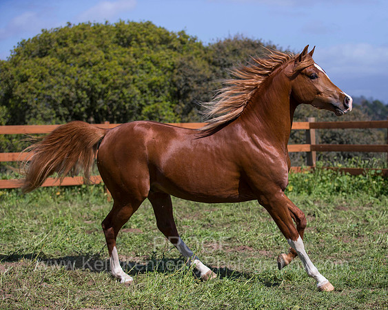 Reverberation0418_4524
