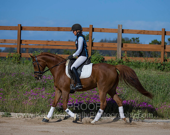 OF_MERRIONETTE_4646