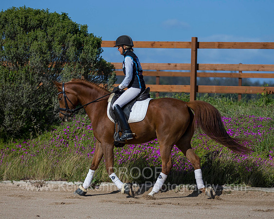 OF_MERRIONETTE_4647