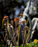VHC_2018_5937