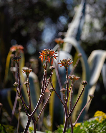 VHC_2018_5937