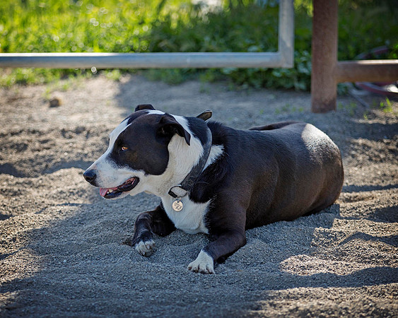 VHC_2018_4838