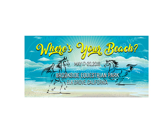 2018DAHAbanquetProgramSpringShowBEACH3aaaa