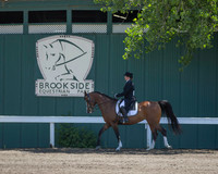 Class 300 HA/AA Sport Horse Show Hack