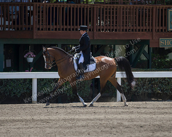 DAHA_SH18_THURS_6299