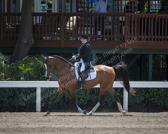 DAHA_SH18_THURS_6300