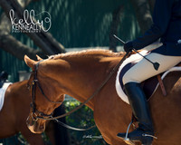 DAHA_SH18_THURS_6883