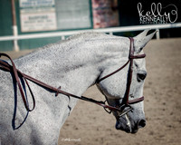 DAHA_SH18_THURS_7213