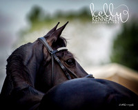KKP_7409