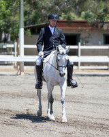 Class 301 Arabian Sport Horse Under Saddle Maiden Horse