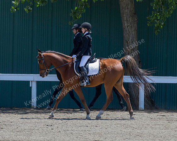 DAHA_SH18_THURS_6329