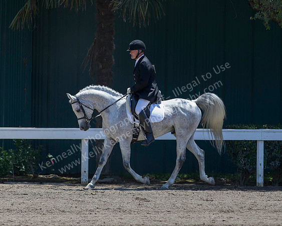 DAHA_SH18_THURS_6331