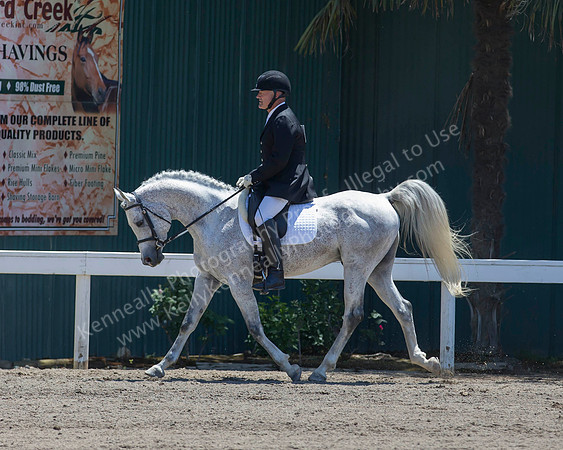 DAHA_SH18_THURS_6332