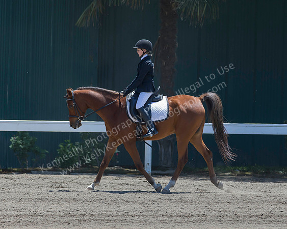 DAHA_SH18_THURS_6351