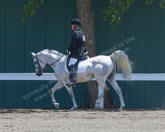 DAHA_SH18_THURS_6360