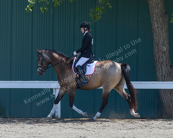 DAHA_SH18_THURS_6367