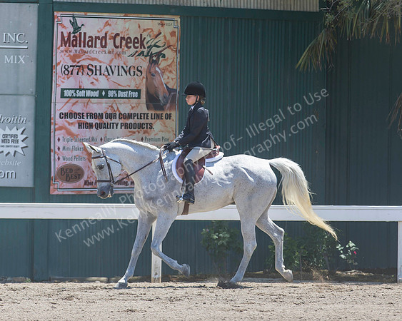 DAHA_SH18_THURS_6388