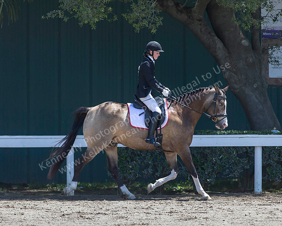 DAHA_SH18_THURS_6462