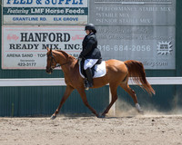 Class 304 Arabian Sport Horse Under Saddle ATR