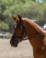 DAHA_SH18_THURS_6547