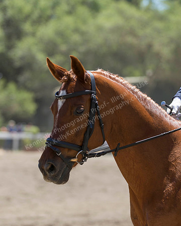 DAHA_SH18_THURS_6547