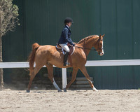 DAHA_SH18_THURS_6582