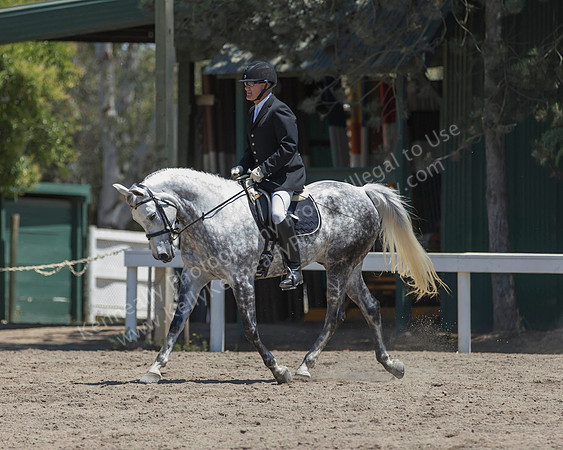 DAHA_SH18_THURS_6618