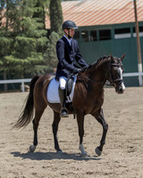 Class 307 HA/AA Sport Horse Under Saddle Novice Horse