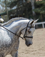 DAHA_SH18_THURS_6637
